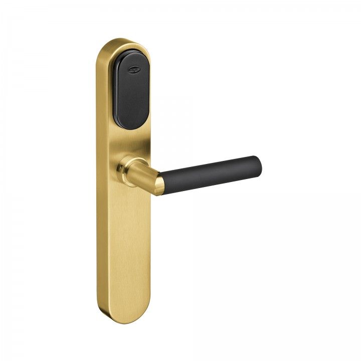 Electronic lock with blind plate from the outside and cylinder from the inside - Titanium Gold
