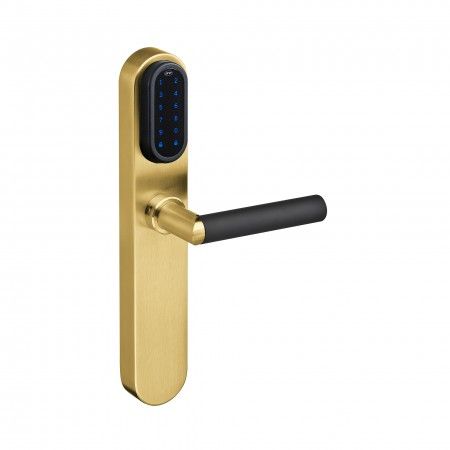 Electronic lock with number key pad With blind plate - Titanium Gold