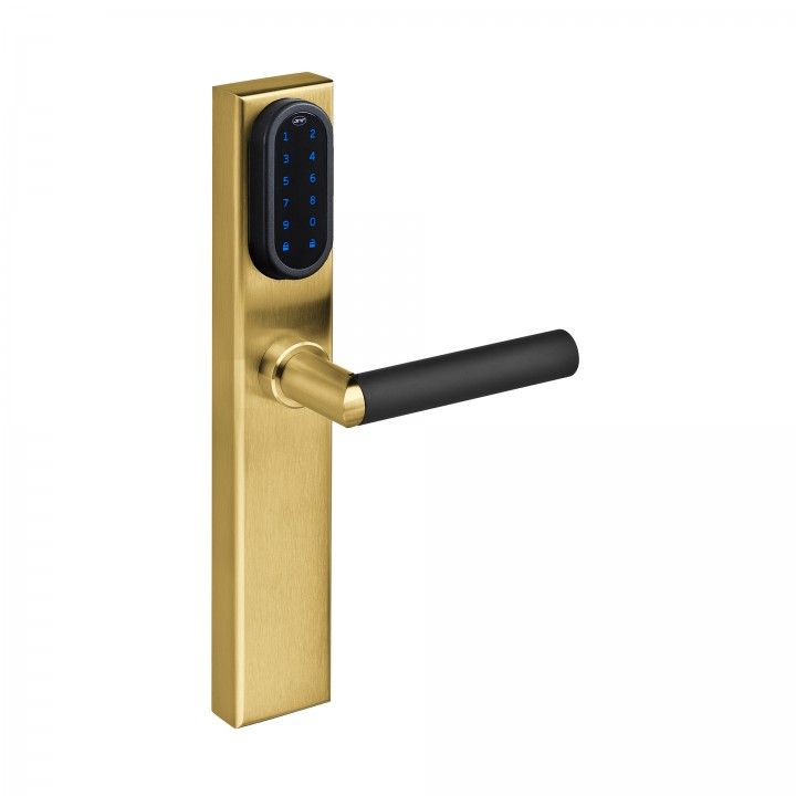 Electronic lock with number keypad and blind plate - TITANIUM GOLD