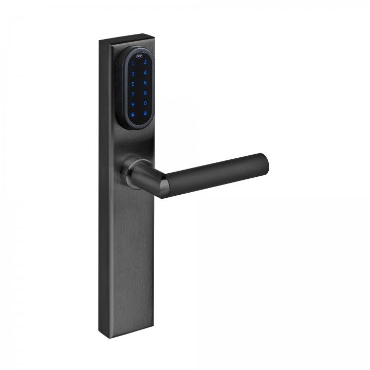 Electronic lock with number keypad and blind plate (outside) and cylinder key hole - Titanium Black