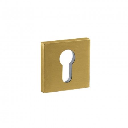 European cylinder key hole - 50x50mm - Titanium Gold