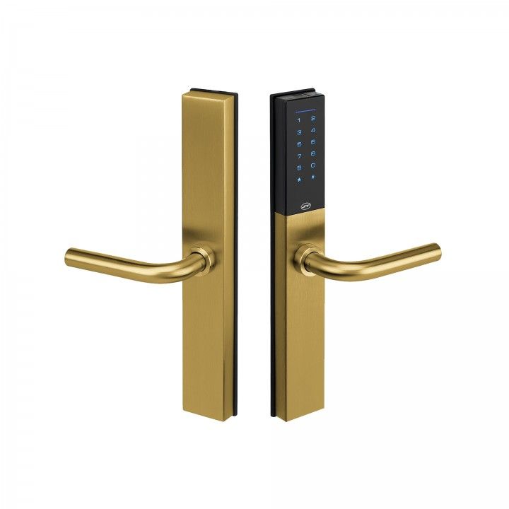 Complete set of access control lock VOYAGER - Titanium Gold