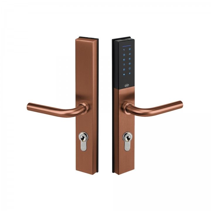 VOYAGER security access control lock set - Titanium Copper