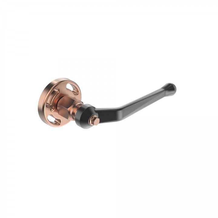 Door lever handle with rose