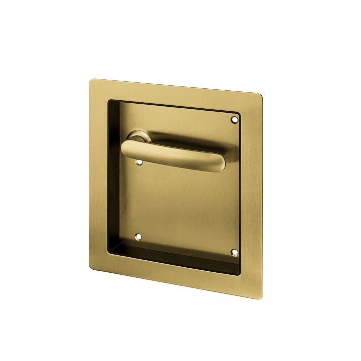 Flush Plate with lever handle