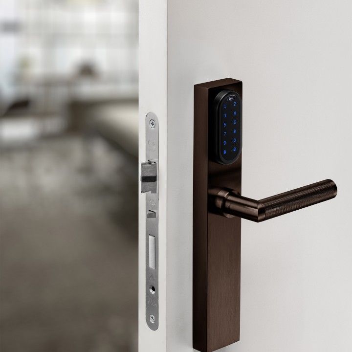 Electronic lock with number keypad and blind plate - TITANIUM CHOCOLATE
